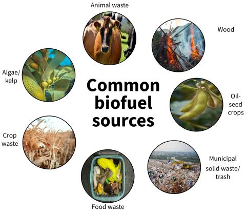 Common Biofuels | USDA Climate Hubs